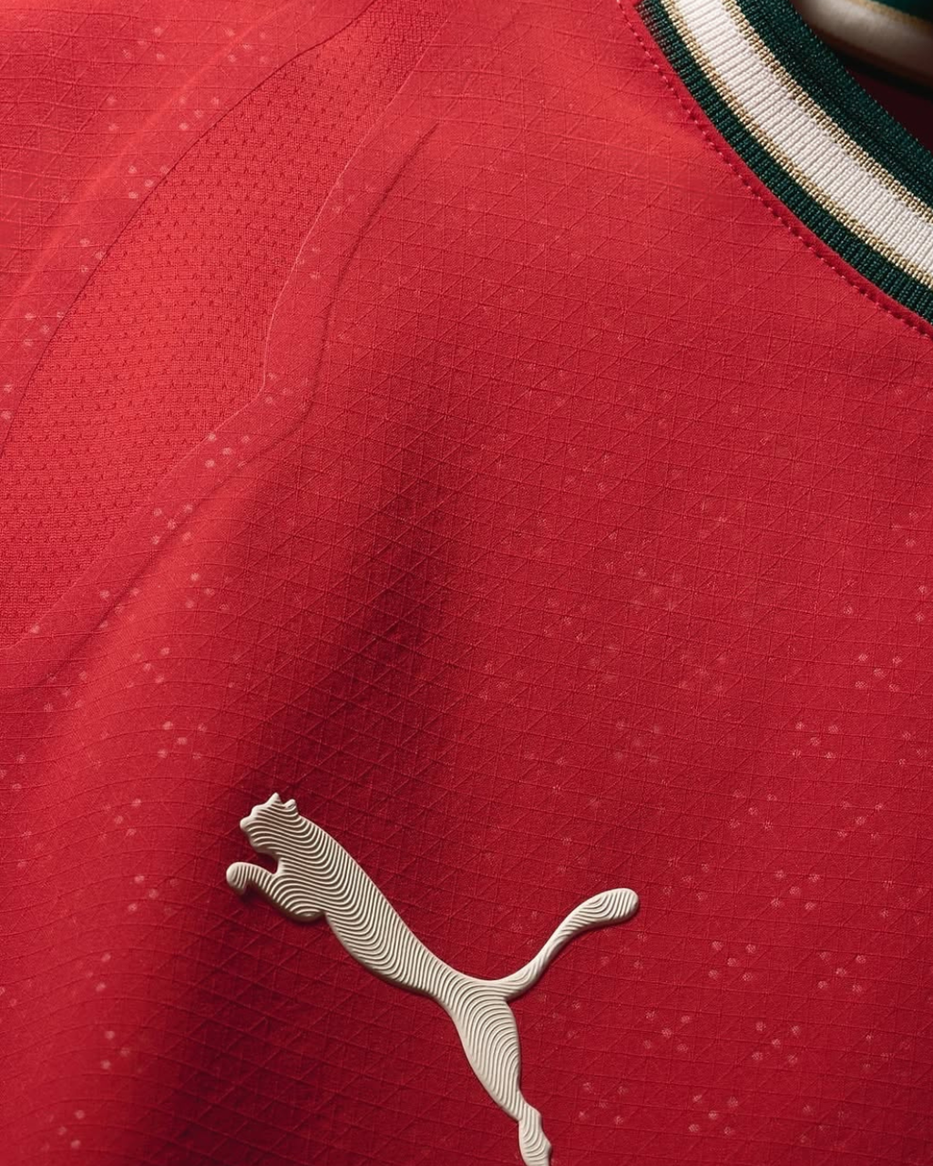 Portugal Home 2026 Player's Version